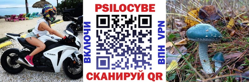 Псилоцибиновые грибы мухоморы  Новотитаровская 